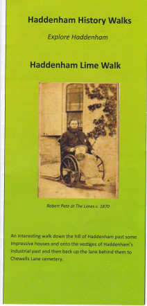 Lime Walk cover