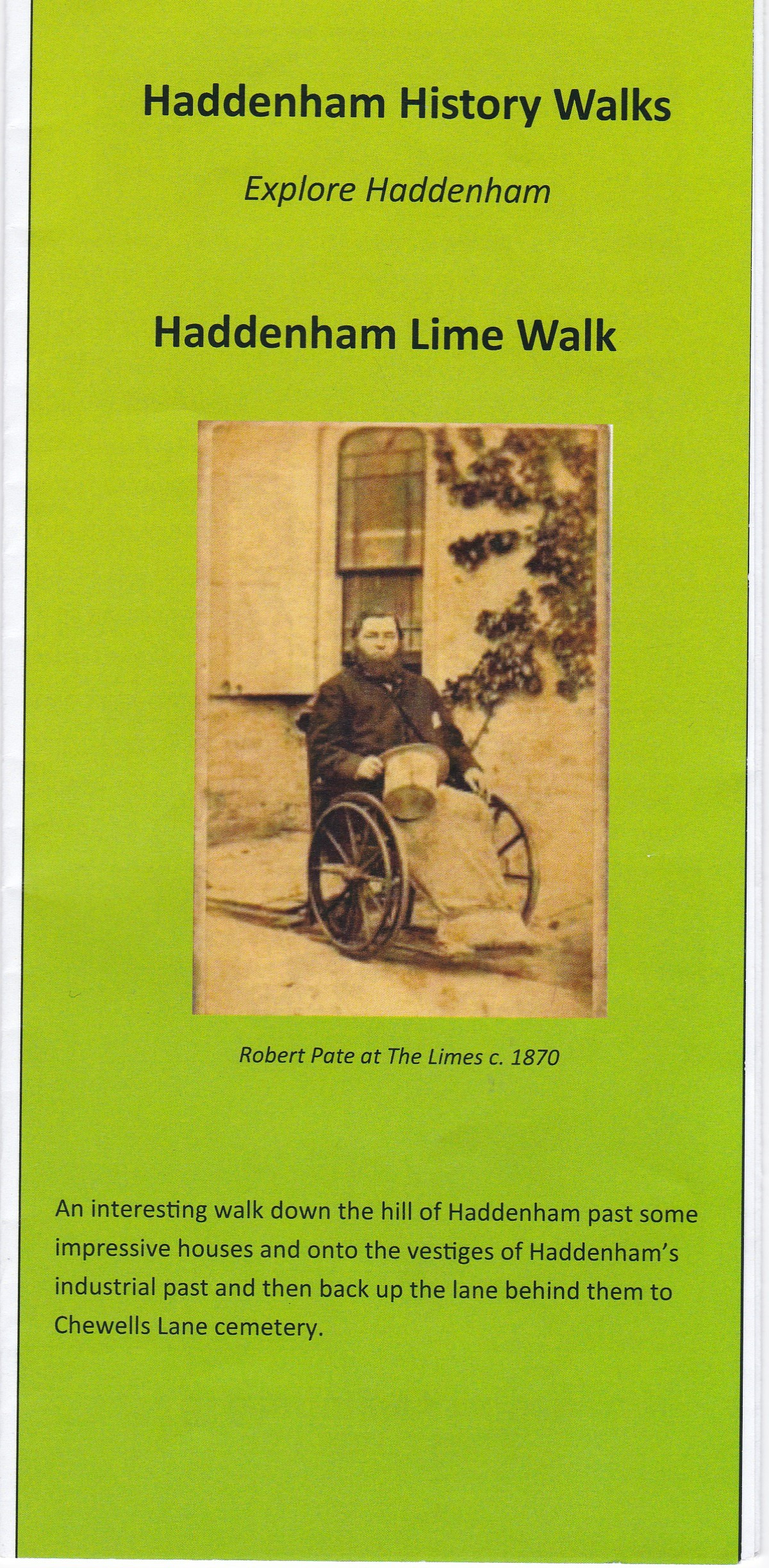 Lime Walk cover