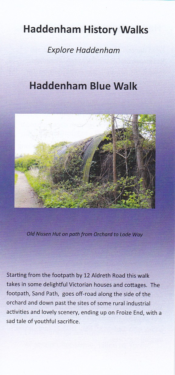 Blue walk cover